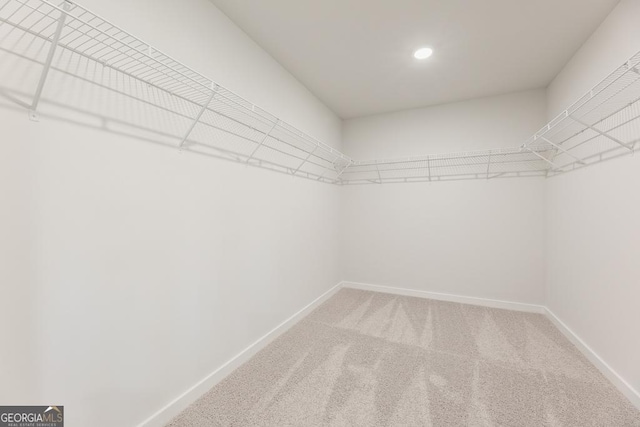 spacious closet featuring carpet