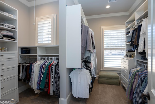 spacious closet featuring visible vents and dark colored carpet