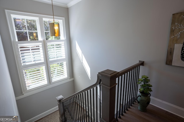 stairs with wood finished floors and baseboards