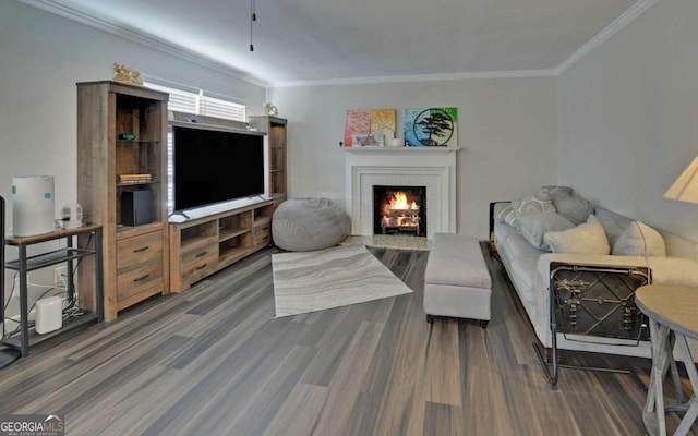 living room featuring a fireplace, dark wood finished floors, and crown molding