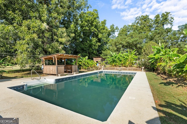 view of swimming pool featuring outdoor dry bar