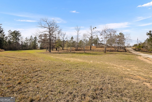 view of yard featuring a rural view