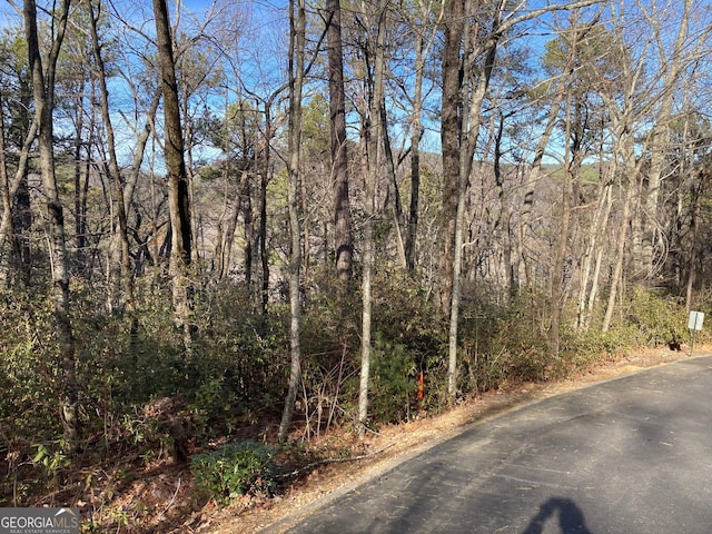 LOT36 Whispering Dl, Clarkesville GA, 30523 land for sale