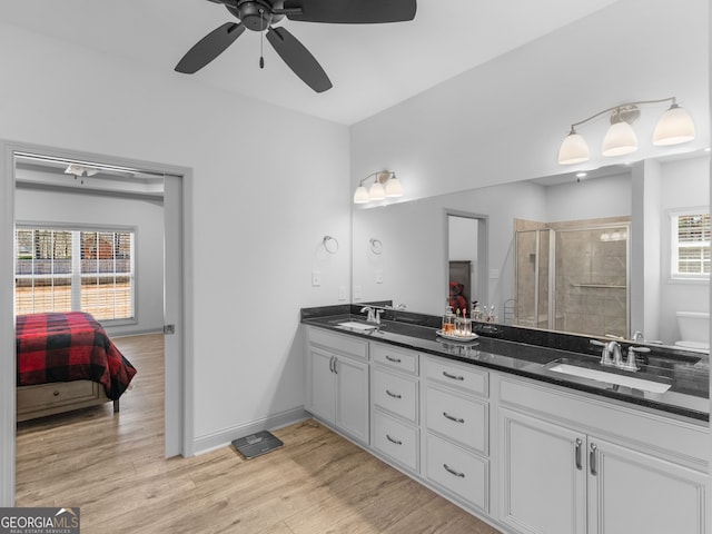 full bath featuring a wealth of natural light, a sink, and wood finished floors