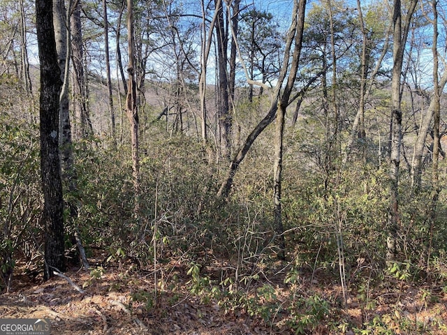 LOT37 Whispering Dl, Clarkesville GA, 30523 land for sale