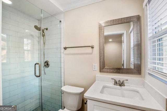 bathroom with toilet, a shower stall, and vanity