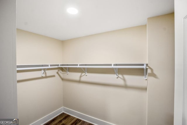 spacious closet with dark wood-style floors