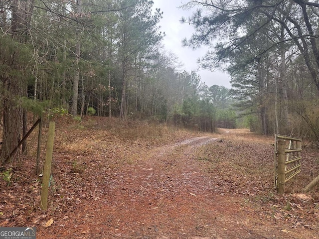 0 W Rd, Concord GA, 30206 land for sale