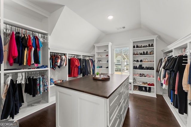 2903 Eva Clb, Acworth, GA 30101 - spacious closet with dark wood finished floors and lofted ceiling