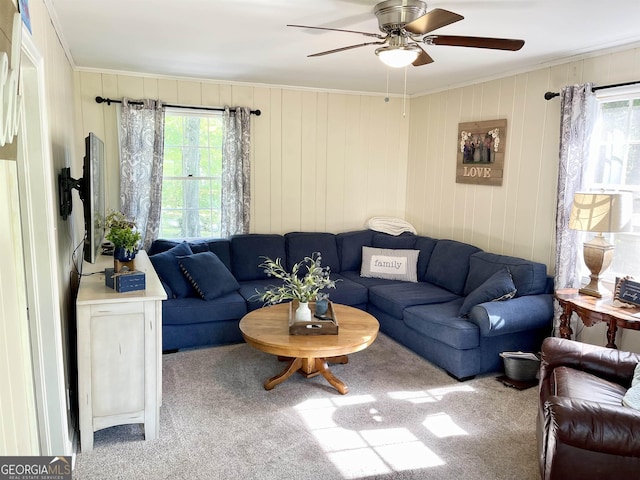 living area with a healthy amount of sunlight, carpet floors, a ceiling fan, and ornamental molding