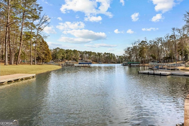 water view featuring a floating dock