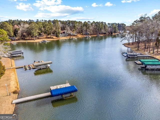 dock area with a water view