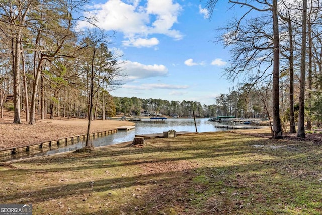 dock area featuring a yard and a water view