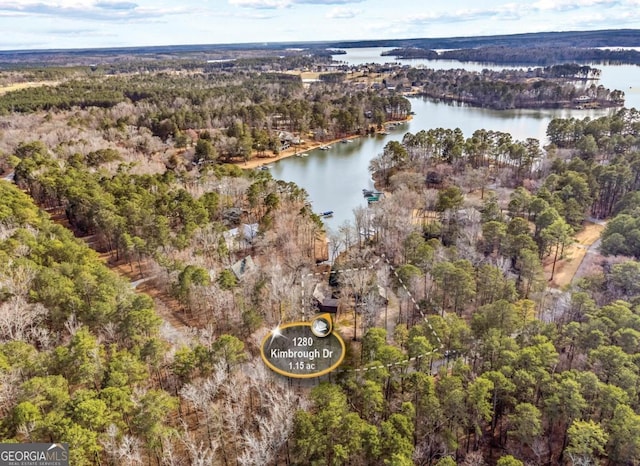 drone / aerial view featuring a water view and a wooded view