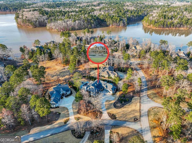 bird's eye view featuring a water view and a forest view