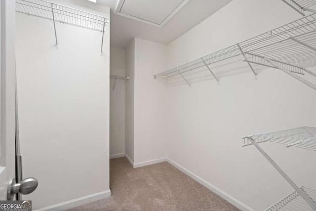 spacious closet with carpet flooring