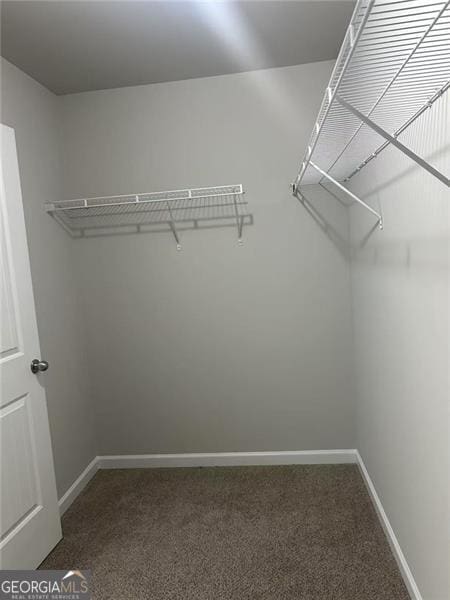 walk in closet with dark carpet