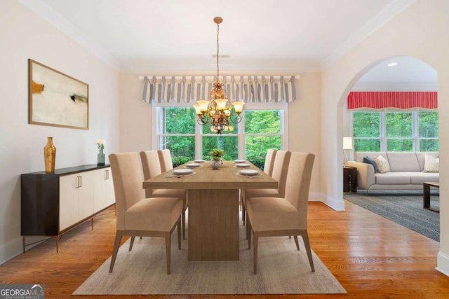 dining area with light wood finished floors, plenty of natural light, and ornamental molding