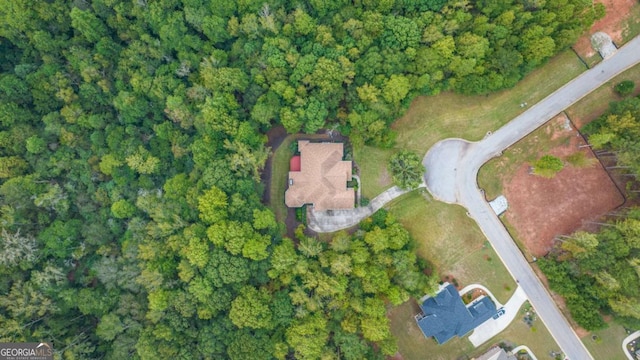 drone / aerial view