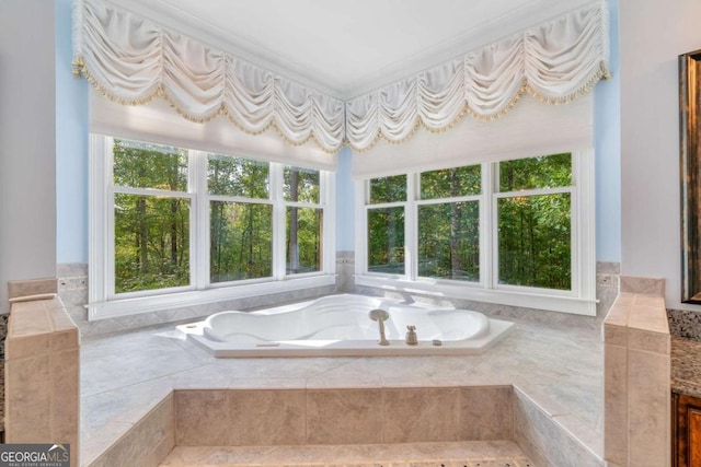 bathroom with a washtub and ornamental molding