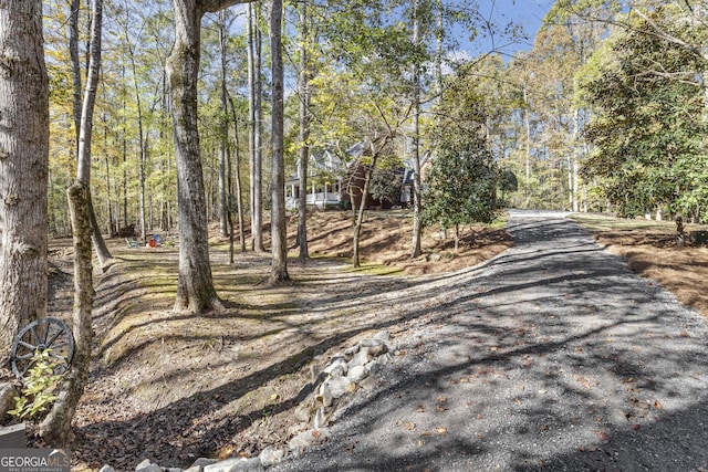 view of street with driveway