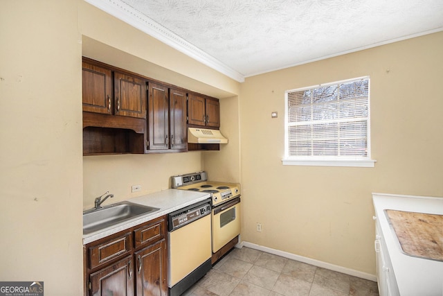 kitchen with dishwasher, light countertops, under cabinet range hood, a sink, and range with electric stovetop