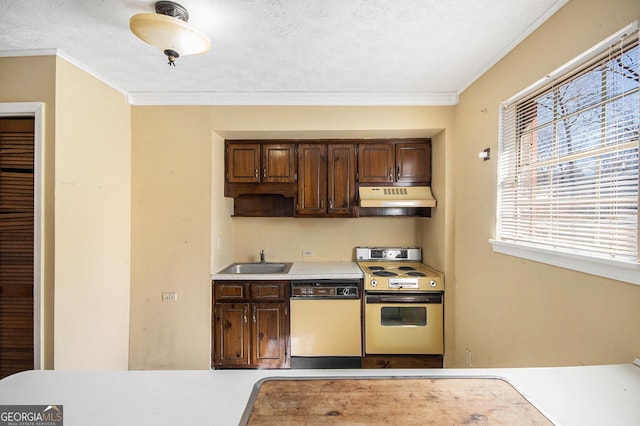 kitchen with under cabinet range hood, range with electric stovetop, a sink, light countertops, and dishwasher