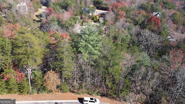 Listing photo 2 for LOT141 Rosen Strasse, Helen GA 30545