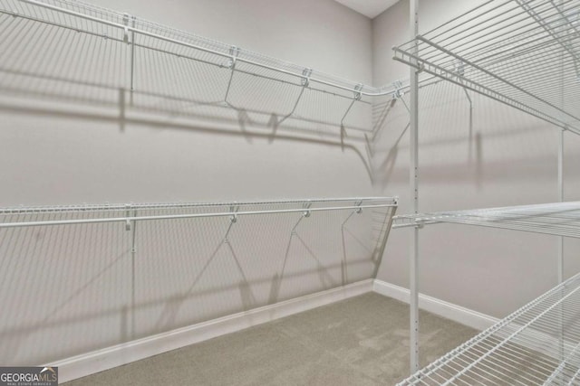 spacious closet featuring carpet