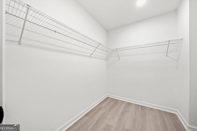 walk in closet featuring wood finished floors