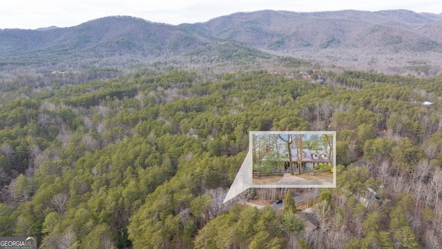 birds eye view of property with a mountain view and a wooded view