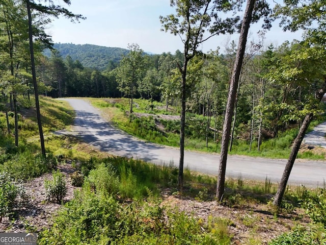 LOT3 Mountain Laurel Rdg, Mineral Bluff GA, 30559 land for sale