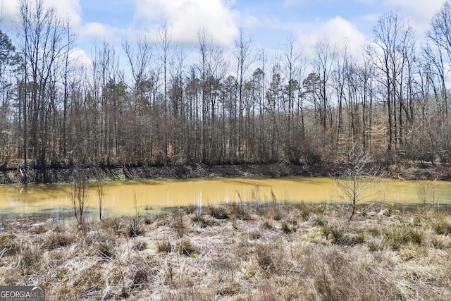 view of local wilderness featuring a water view