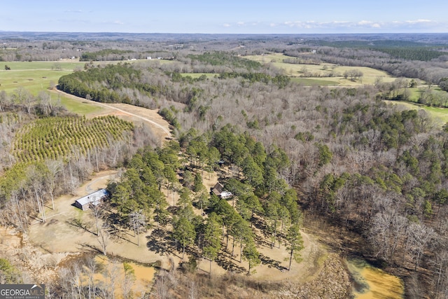 drone / aerial view featuring a rural view