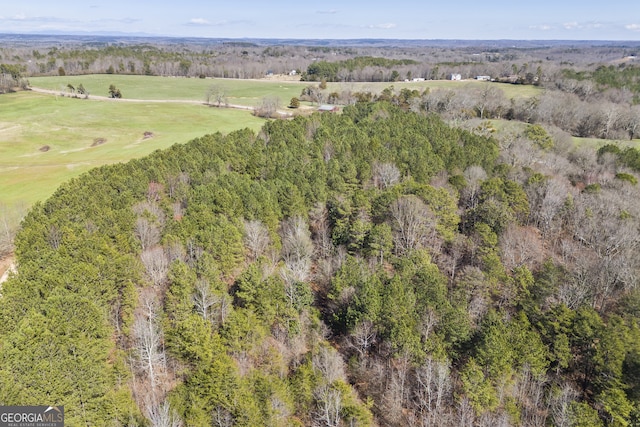 bird's eye view