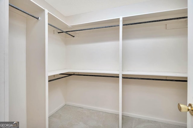 spacious closet featuring light colored carpet