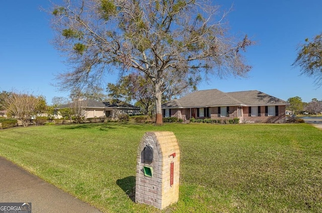 ranch-style house featuring a front yard