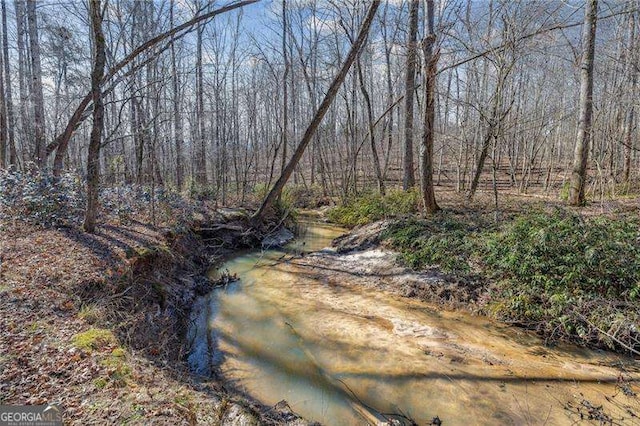 view of local wilderness