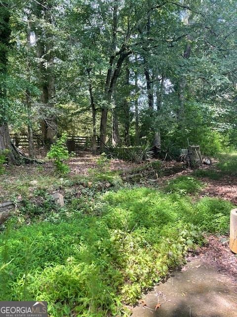 3210 Rogers Rd, Mcdonough, GA 30252 - view of undeveloped land