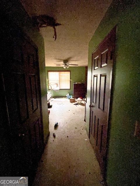3210 Rogers Rd, Mcdonough, GA 30252 - view of hallway