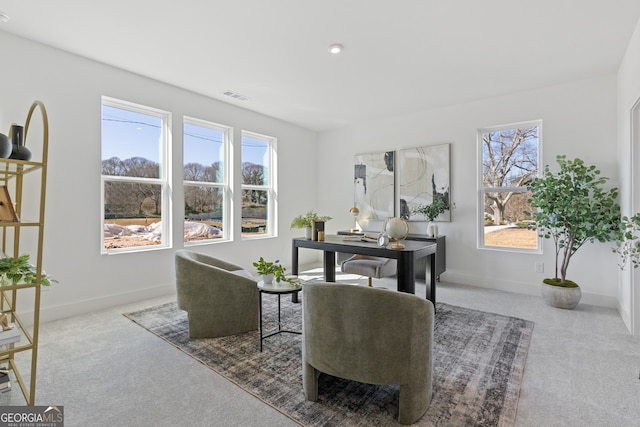 home office with carpet, visible vents, baseboards, and a wealth of natural light