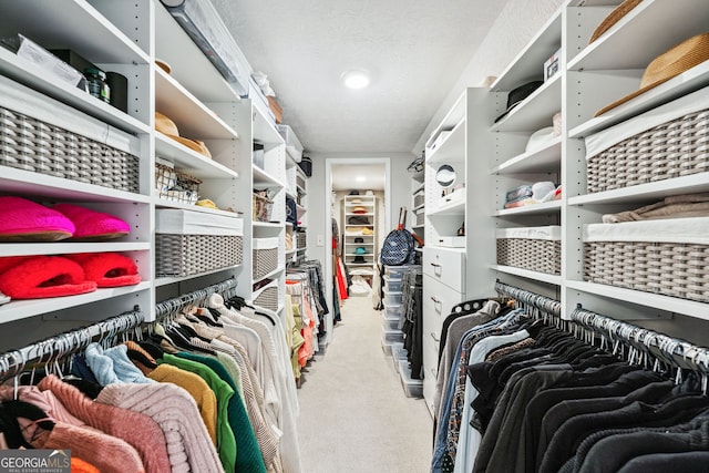 spacious closet featuring carpet flooring