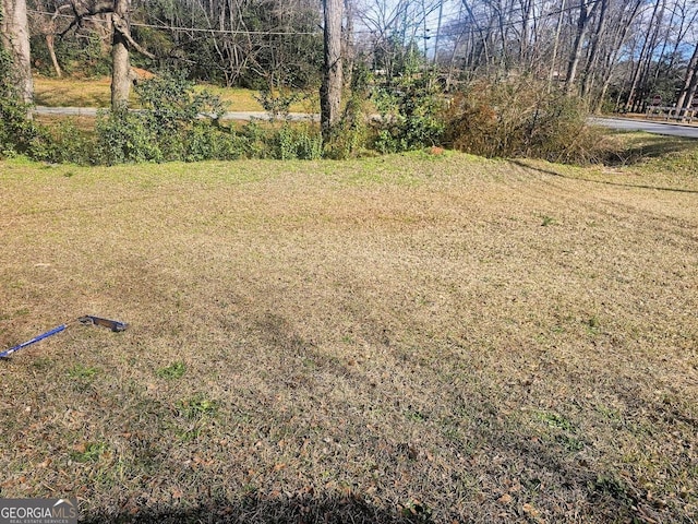 117 Triune Mill Rd, Thomaston, GA 30286 - view of green lawn