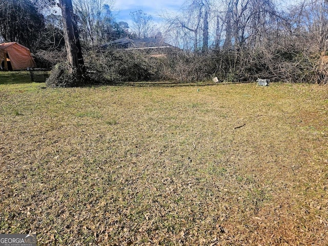 117 Triune Mill Rd, Thomaston, GA 30286 - view of green lawn