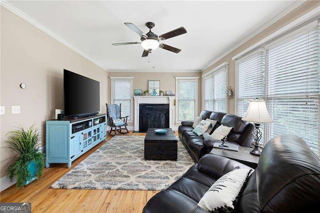 living room featuring ceiling fan, ornamental molding, a fireplace, and wood finished floors