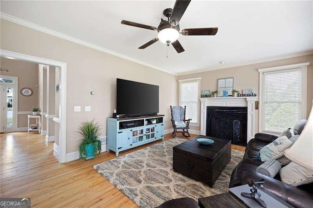 living area featuring baseboards, a ceiling fan, light wood-style flooring, crown molding, and a fireplace