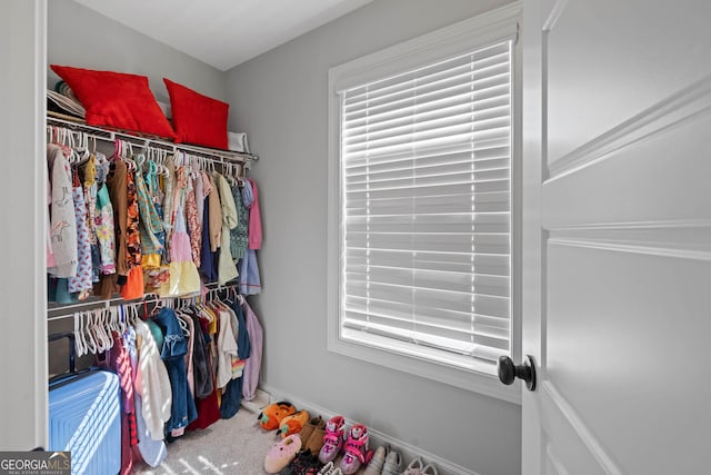 walk in closet with carpet