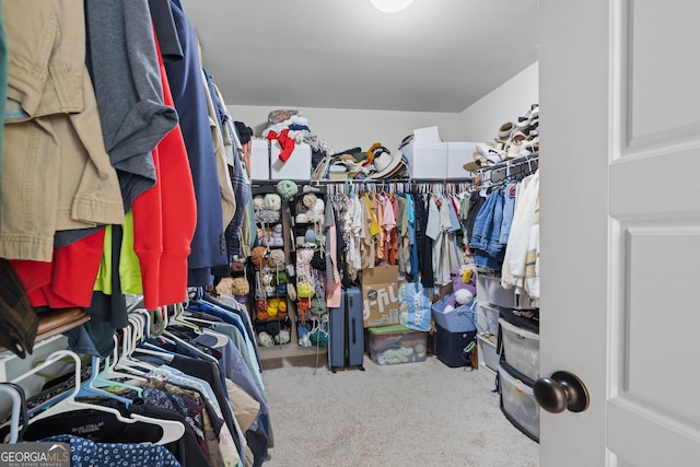 walk in closet with carpet floors