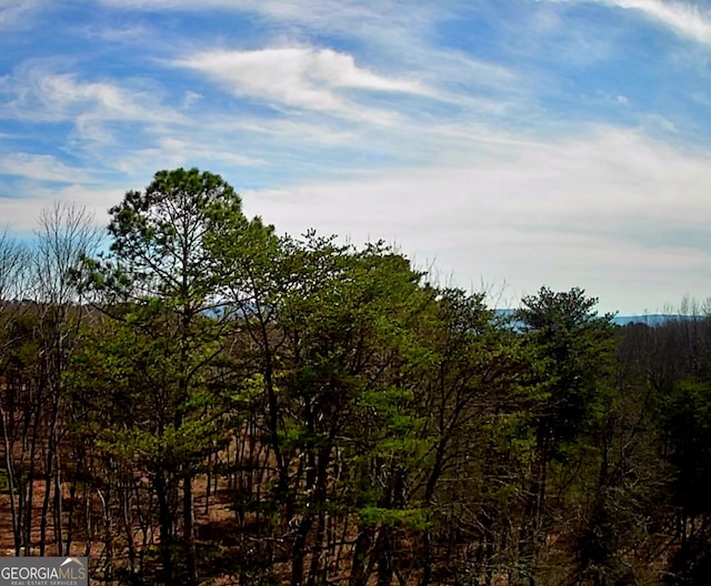 Listing photo 3 for 00 Rushing Water Trl, Rising Fawn GA 30738