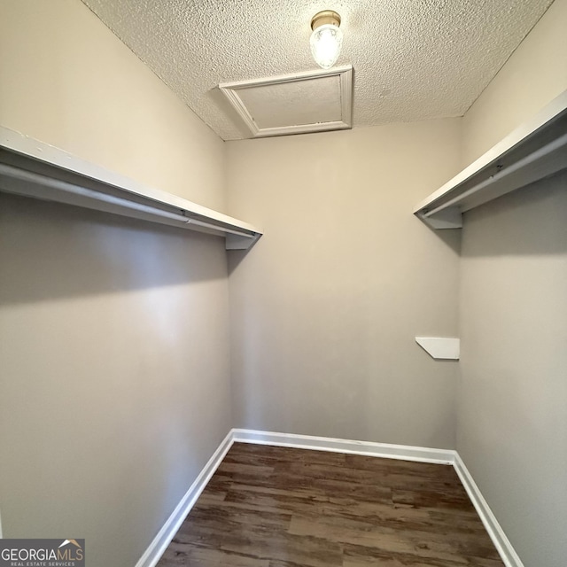 walk in closet with attic access and dark wood-style flooring